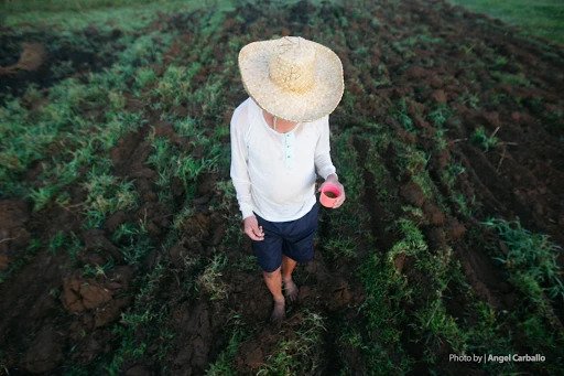 CLUP Now! Pushes for Immediate Passage of NLUA to Provide Food Security and Eradicate Hunger